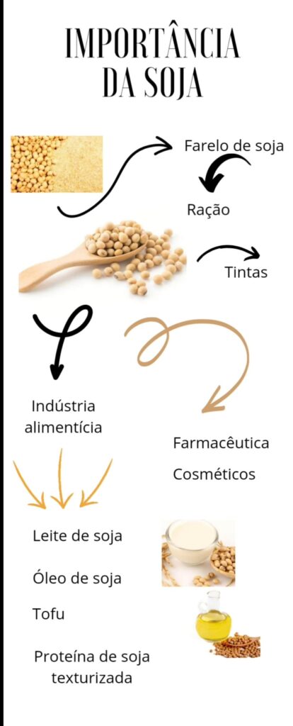 entenda a importância da soja 