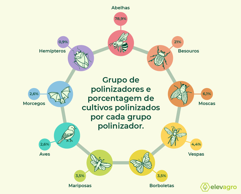 Grupo-de-polinizadores-porcentagem-cultivos-polinizados-por-cada-grupo-polinizador