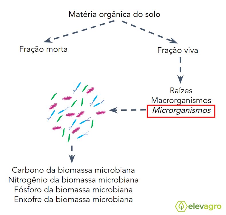 materia-organica-do-solo-carbono-da-biomassa-microbiana-nitrogenio-fosforo-enxofre