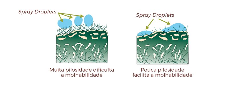 Figura 4 – Relação da presença de pelos epidérmicos nas folhas com a deposição de gotas de pulverização