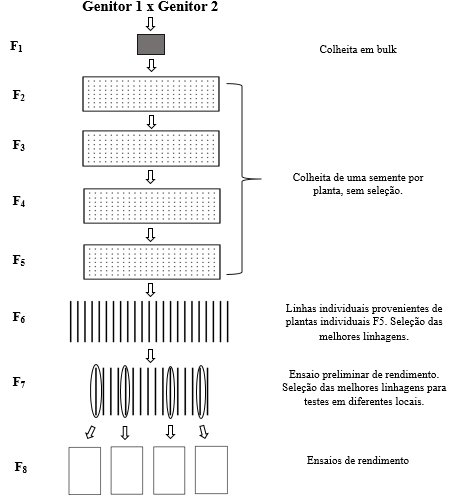 Figura 4. Fluxograma do método Single Seed Descent. Fonte: adaptado de Allard (1971). 