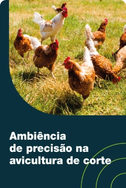 Ambiência de precisão na avicultura de corte
