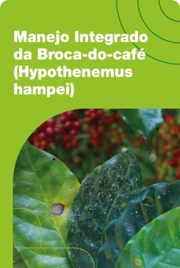Manejo Integrado da Broca-do-café (Hypothenemus hampei)