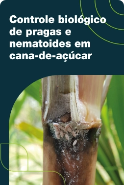 Controle biológico de pragas e nematóides em cana-de-açúcar