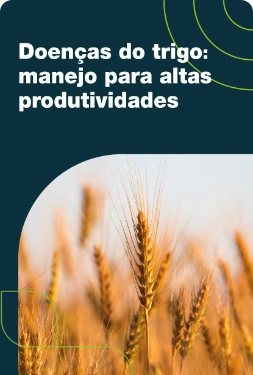 Doenças do trigo: manejo para altas produtividades