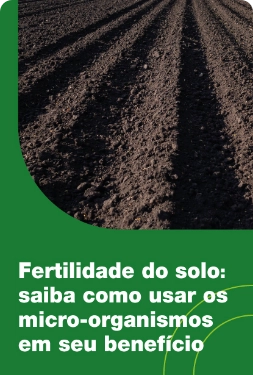 Fertilidade do solo: saiba como usar os micro-organismos em seu benefício