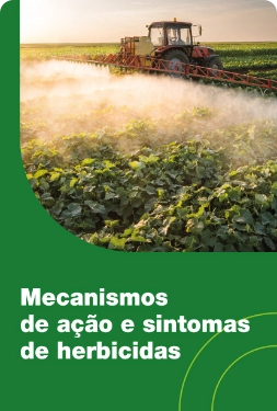 Mecanismos de ação e sintomas de herbicidas