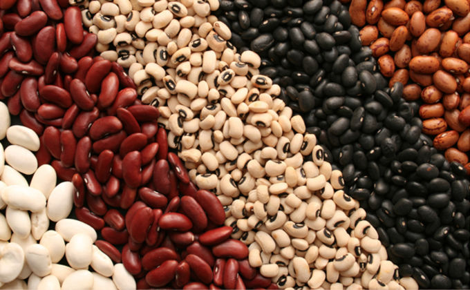 Variáveis que influenciam a qualidade de grãos durante o armazenamento -  Elevagro