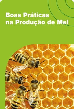 Boas práticas na produção de mel
