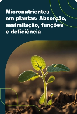 Micronutrientes em plantas: absorção, assimilação, funções e deficiência