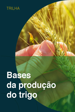 Bases da produção do trigo