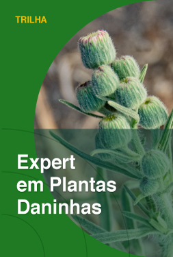 Expert em plantas daninhas