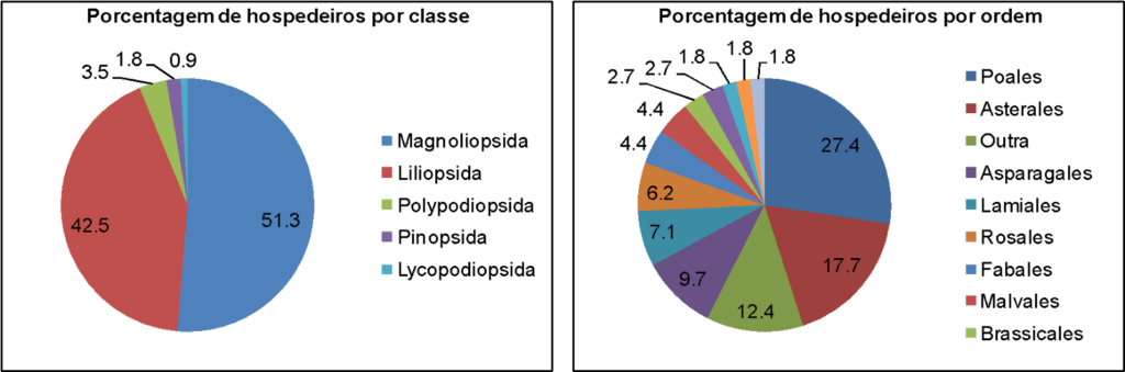 Porcentagem de hospedeiros por classe e por ordens de plantas
