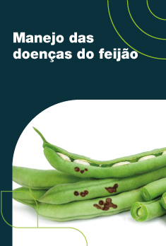 Manejo das doenças do feijão