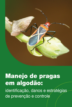 Manejo de pragas em algodão: identificação, danos e estratégias de prevenção e controle