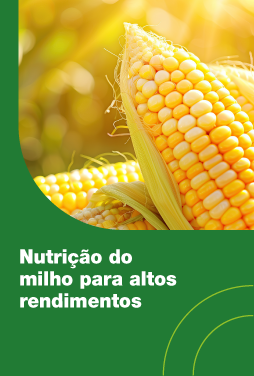 Nutrição do milho para altos rendimentos