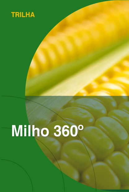 Milho 360º