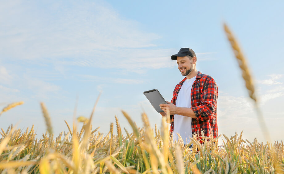 Educação Corporativa no Agronegócio: conheça os benefícios