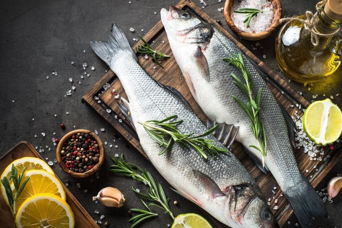 Tecnologia na criação de peixes