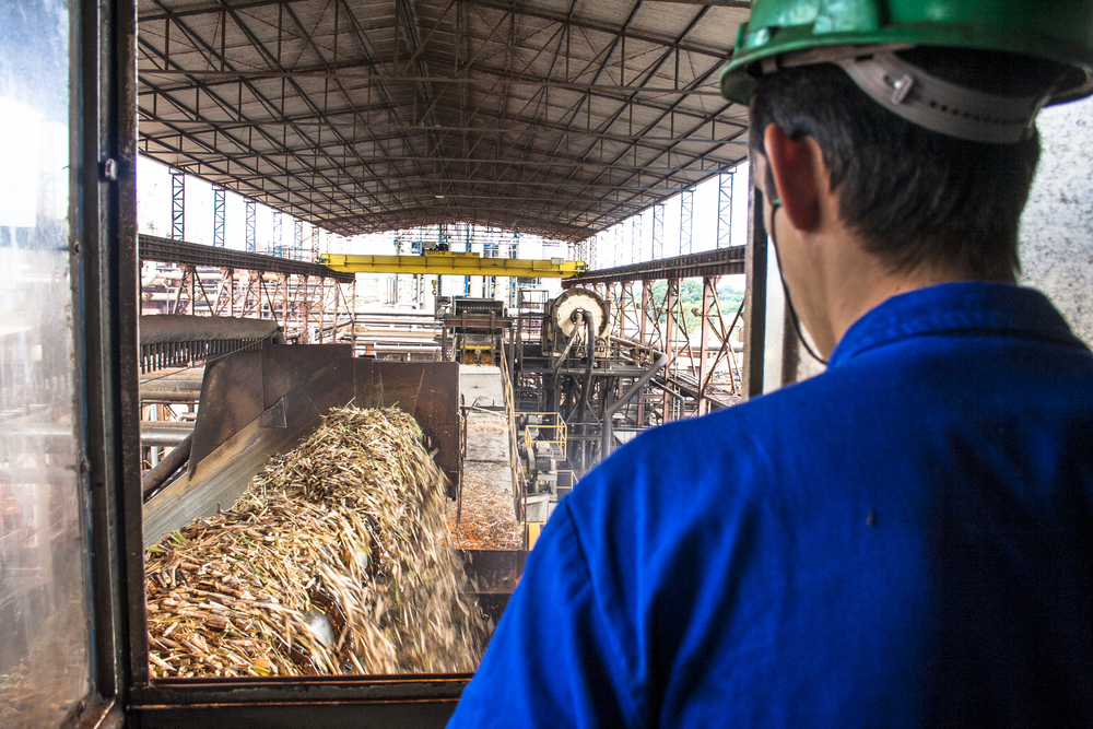 Interior de uma planta moderna de processamento agroindustrial automatizado com tecnologia de ponta